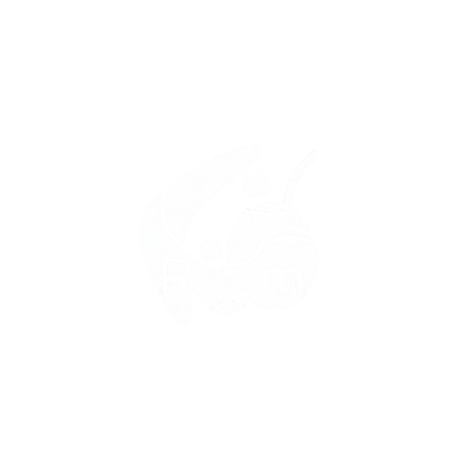 Roomigos Logo